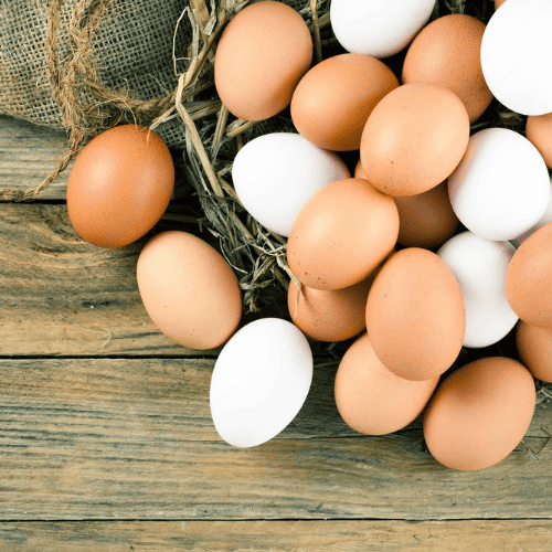 Quality Eggs Arkansas