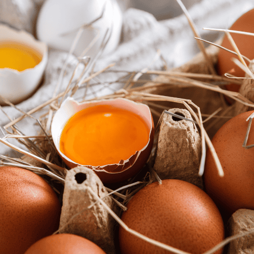 Specialty Eggs in Missouri